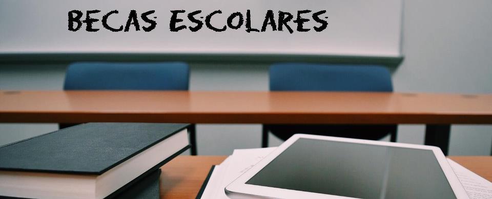 schools-tax credit scholarships-SP schools-tax credit scholarships-SP